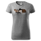 Da Oid Sinzer Pferdegespann T Shirt Damen Grau Meliert Schlossberg Front